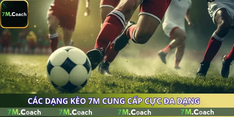 Các dạng kèo 7M cung cấp cực đa dạng Các dạng kèo 7M cung cấp cực đa dạng